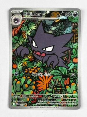 IMG_8231 Haunter 027 - PROMO - Ingles