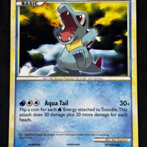 Totodile 74/95 – LP