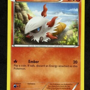 Larvesta 19/101 – LP