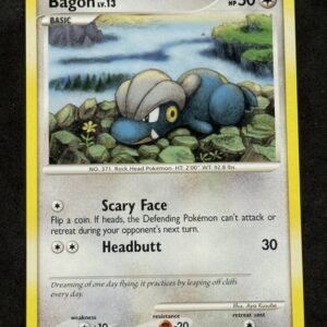 Bagon Lv.13 53/100 – LP